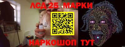 apvp Бердск
