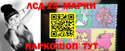 apvp Бердск