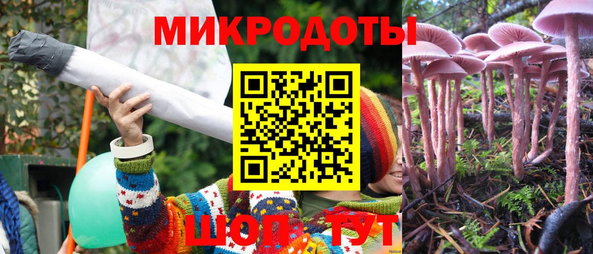 Псилоцибиновые грибы прущие грибы  Псилоцибиновые грибы мицелий  Саратов  как найти наркотики  Вход с VPN 
